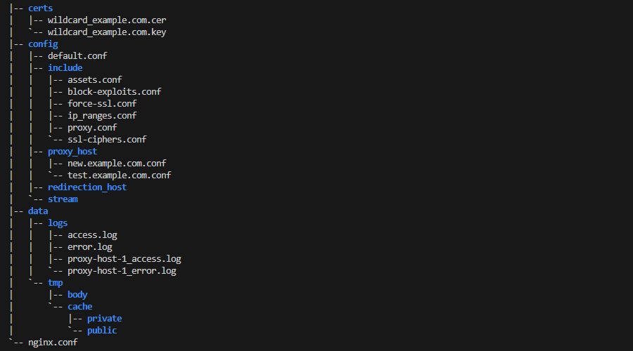 nginx-dir