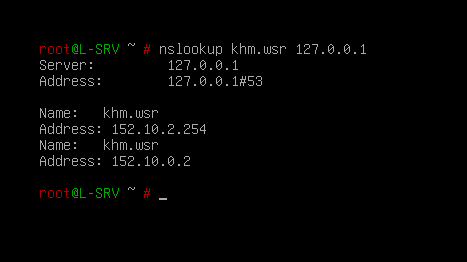 nslookup